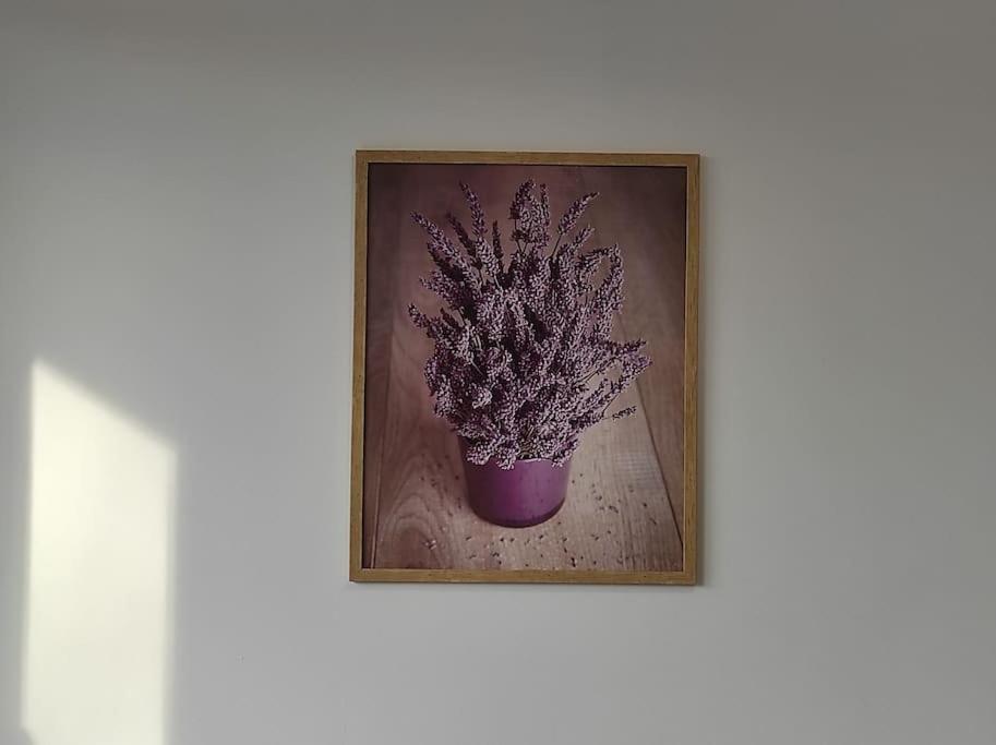 ***Santorini Apartament*** - 40M² ✓ ريبنيك المظهر الخارجي الصورة
